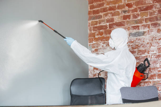 Best Residential Mold Inspection & Testing  in Madison Center, CT