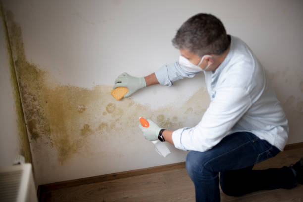 Best Crawl Space Mold Remediation  in Madison Center, CT