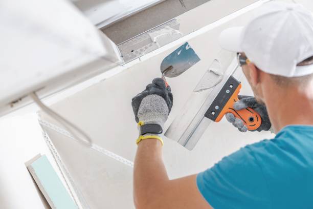 Trusted Madison Center, CT Mold Removal Experts